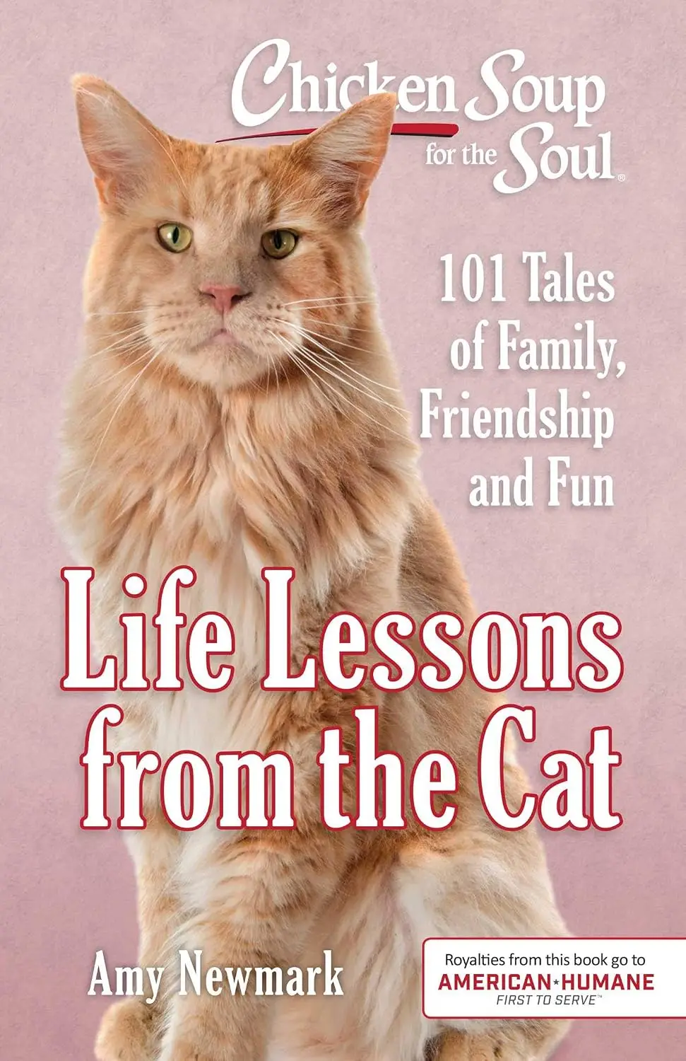 life lessons from the cat